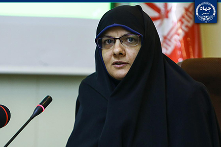  مدیر اندیشکده تحکیم انسجام اجتماعی جهاددانشگاهی منصوب شد