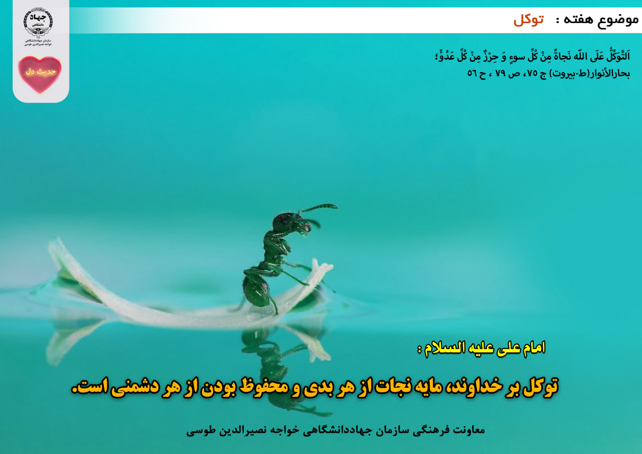حدیث دل با موضوع توکل
