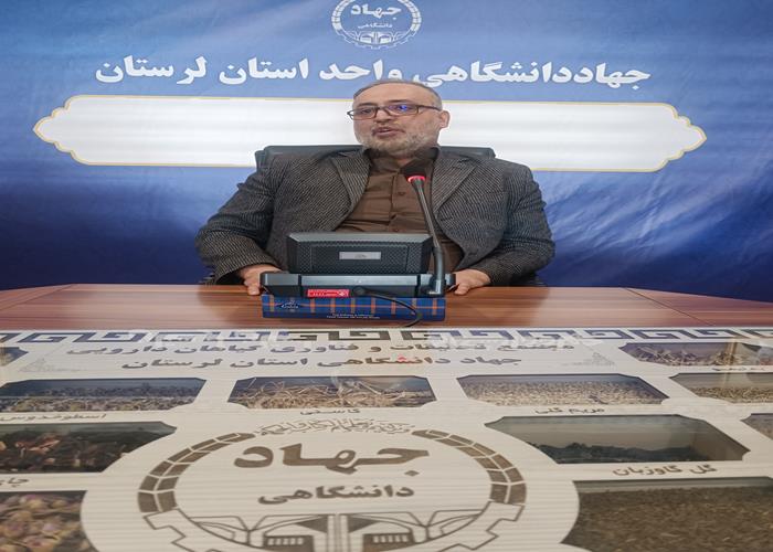 عضو هیئت‌علمی دانشگاه لرستان: الگوگیری از قرآن رمز موفقیت خانواده است