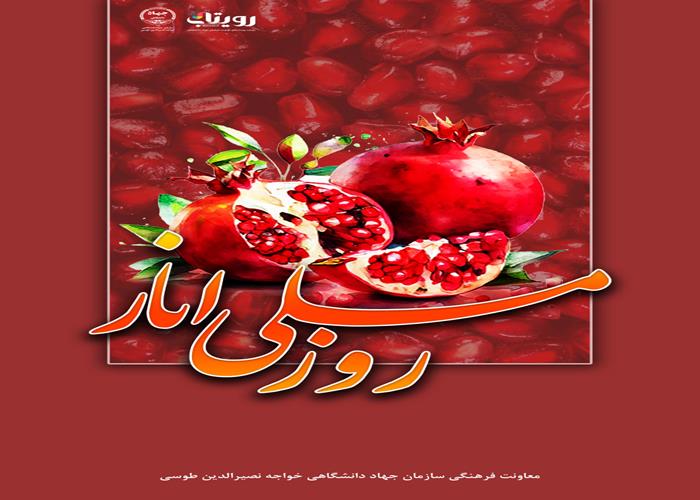 روز ملی انار