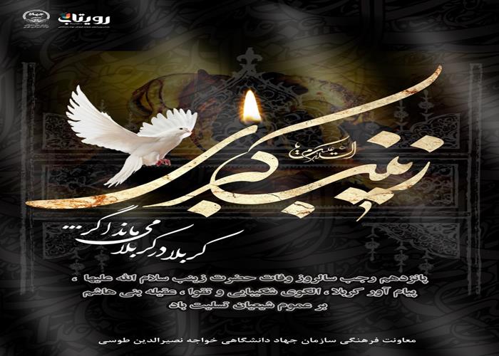 وفات حضرت زینب (س)