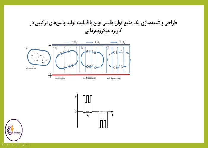 فیلم شرکت‌کننده 4 - سارا حدادی