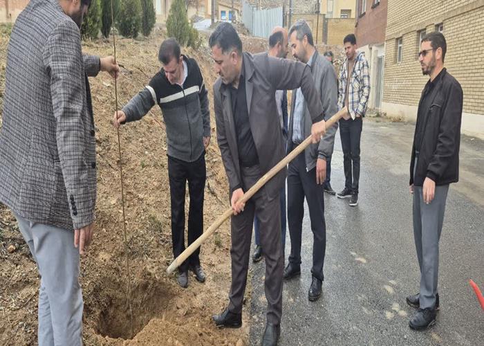 عکس خبر: به مناسبت روز درختکاری