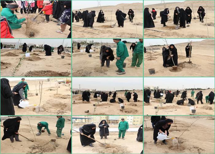 برگزاری آیین روز درختکاری در پردیس خواهران دانشگاه قم