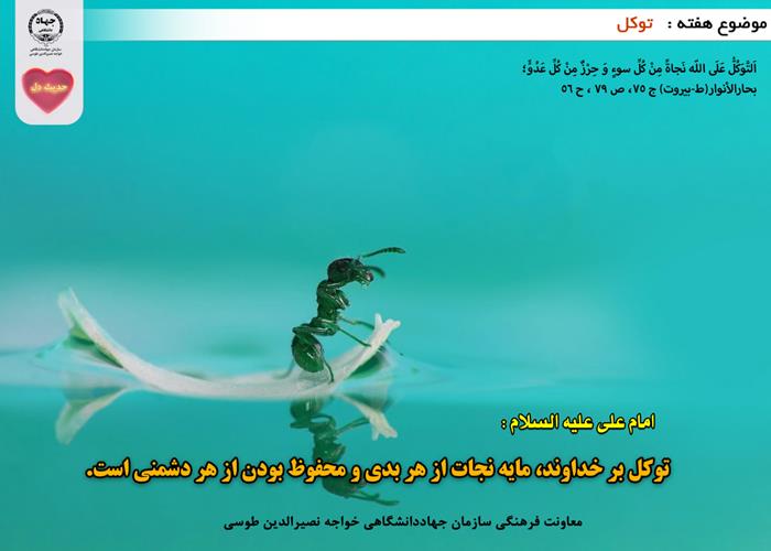 حدیث دل با موضوع توکل