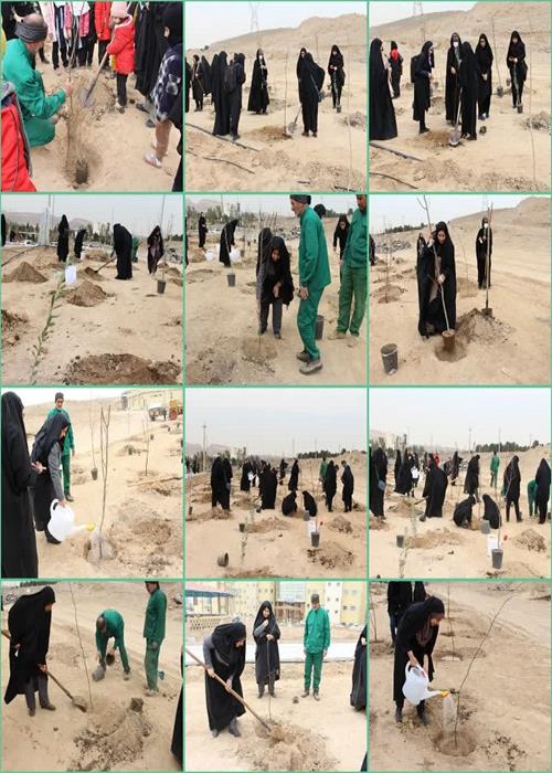 برگزاری آیین روز درختکاری در دانشگاه قم