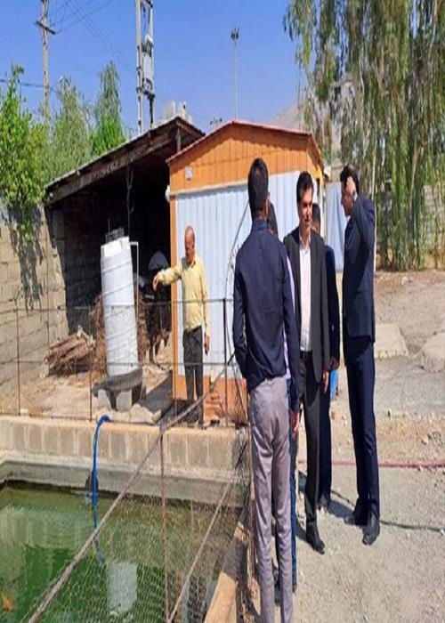 بازدید معاون جهاد دانشگاهی از کارخانه تولید آفت‌کش‌ها و آنتی‌بیوتیک‌های گیاهی در گچساران