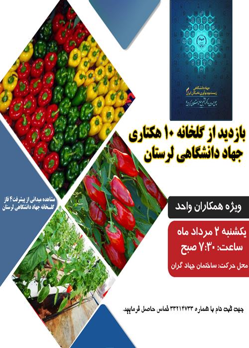 بازدید همکاران واحد از گلخانه کوهدشت 