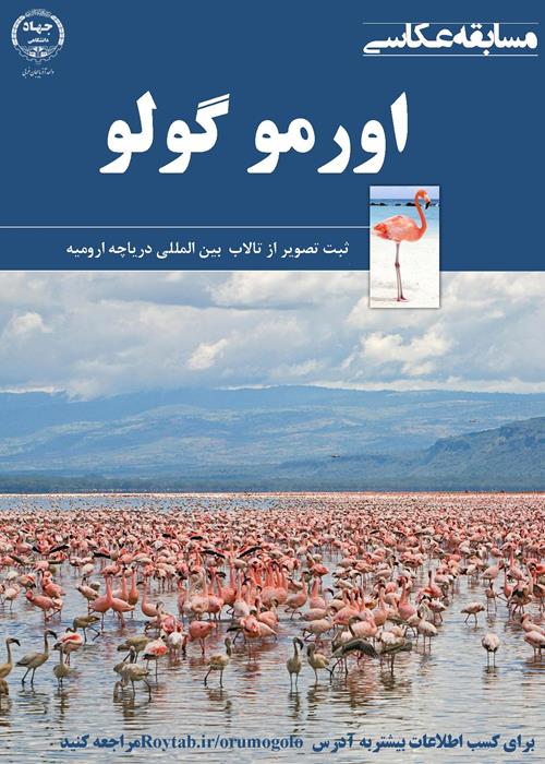 مسابقه عکاسی  اورمو گولو