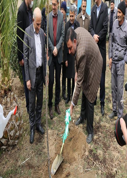 برکزاری مراسم روز درختکاری