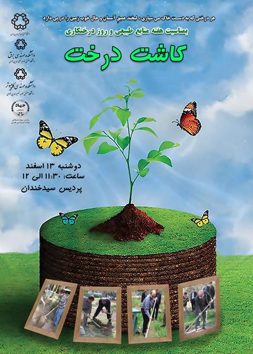 درختکاری