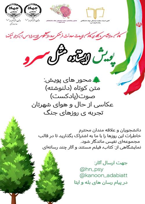 پویش ایستاده چون سرو