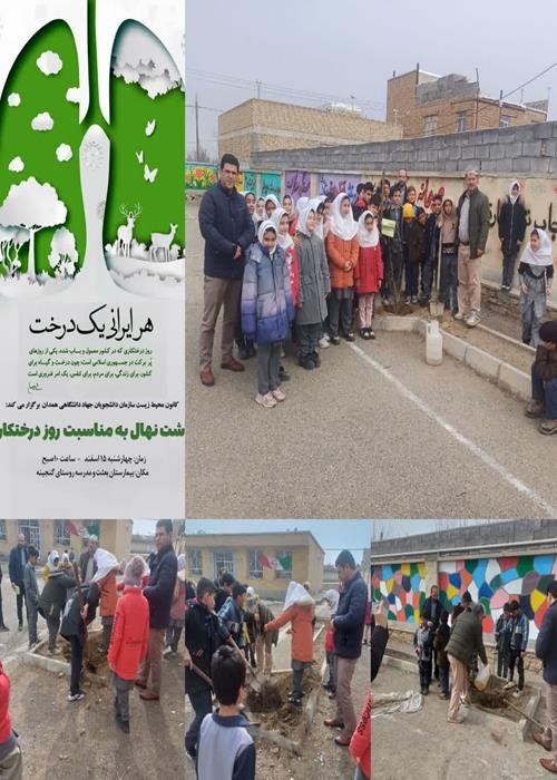 کاشت نهال