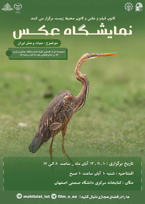 نمایشگاه عکس