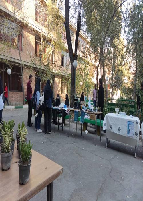 جشن استقبال از نوورودی هااقتصاد