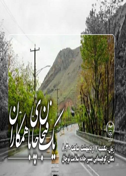 کوه‌پیمایی 