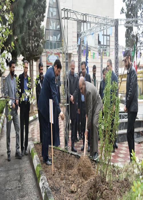 کاشت  14 نهال به مناسبت فرارسیدن اربعین قائد امت