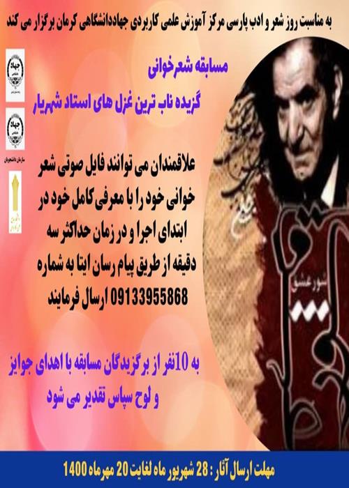 شعر و ادب پارسی