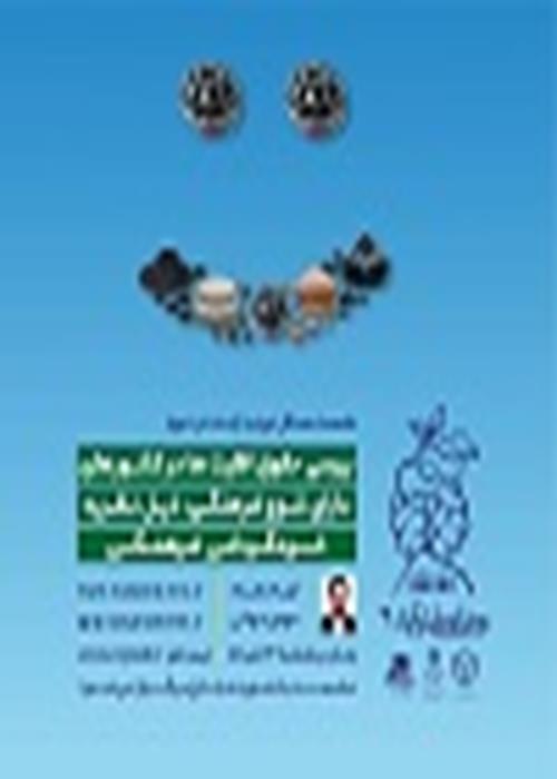 بررسی حقوق اقلیت ها در کشورهای دارای تنوع فرهنگی ، ذیل نظریه خودگردانی فرهنگی